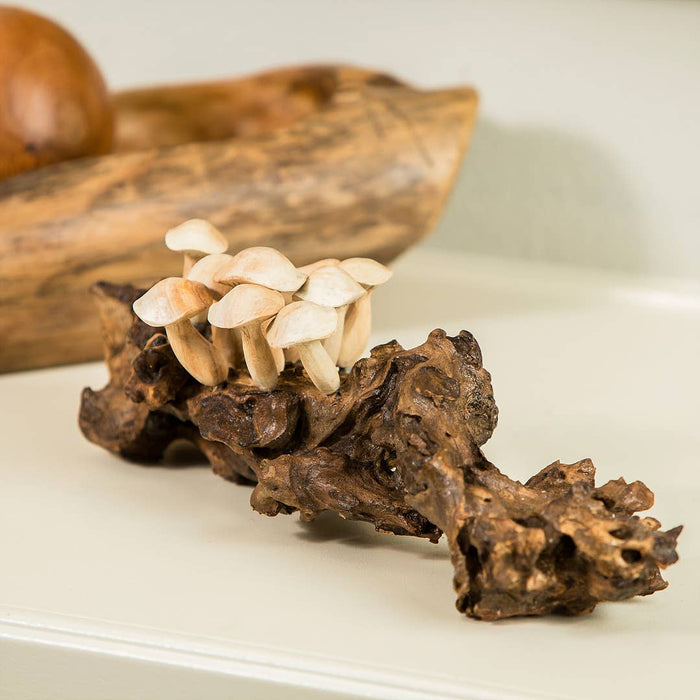 Parasite Wood Hand Carved Figurine - Mushroom on Teak