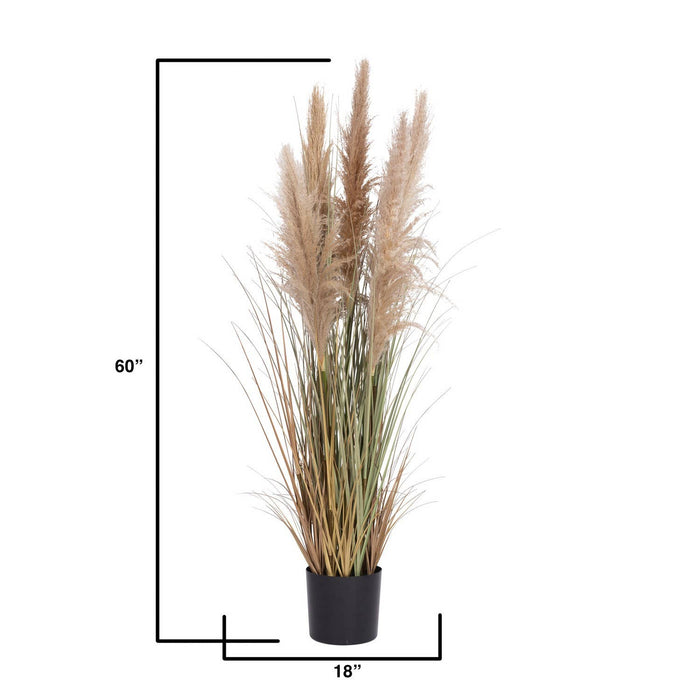 60" Tall Faux Pampas Grass - Beige | Vintage Home