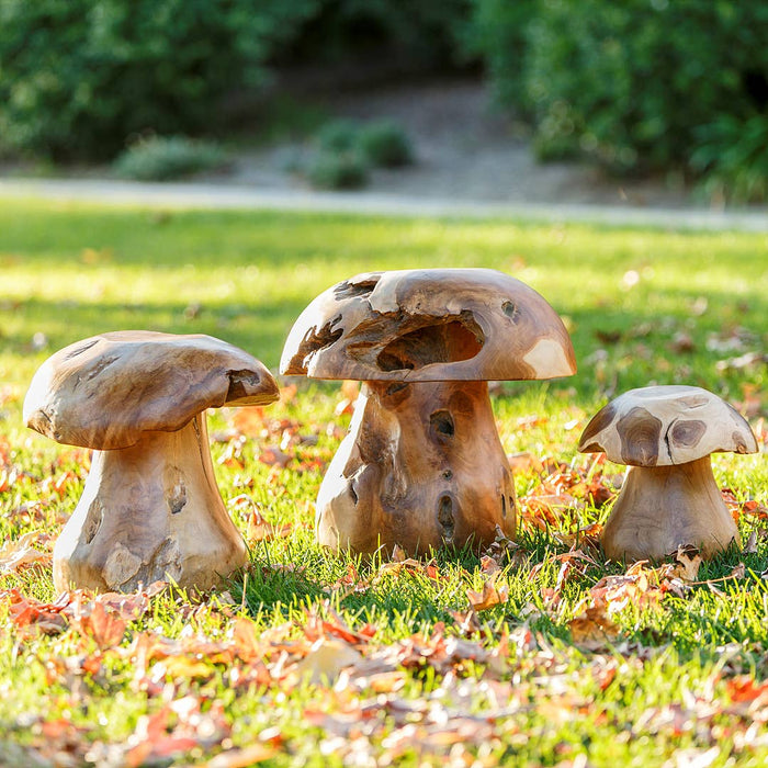 Teak Root Mushroom Stools: Medium 18"H