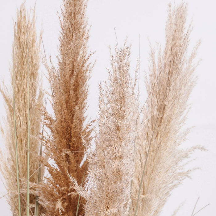 60" Tall Faux Pampas Grass - Beige | Vintage Home