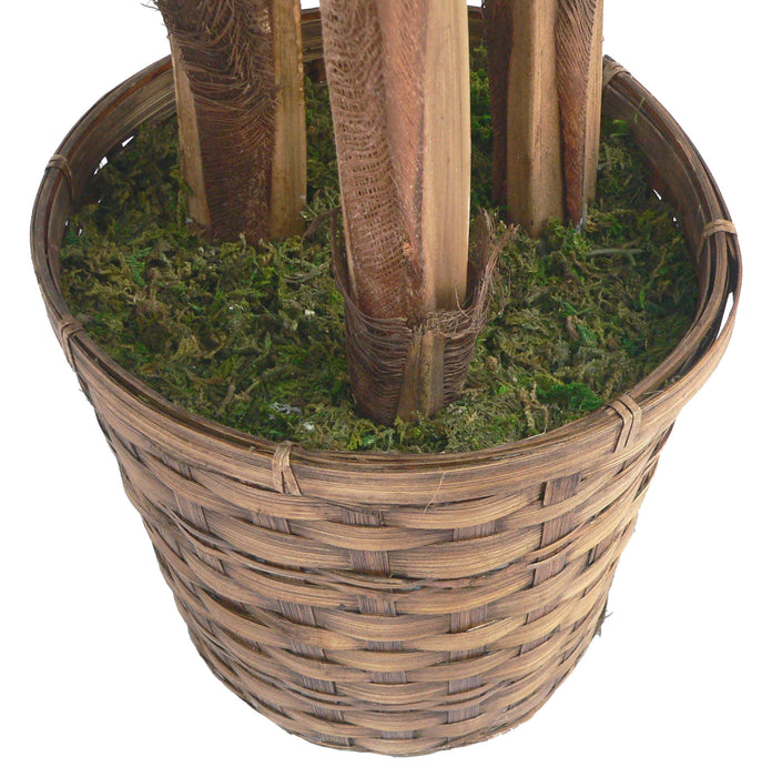 60" Tall Palm Tree In Bamboo Wicker Planter: VHA102326