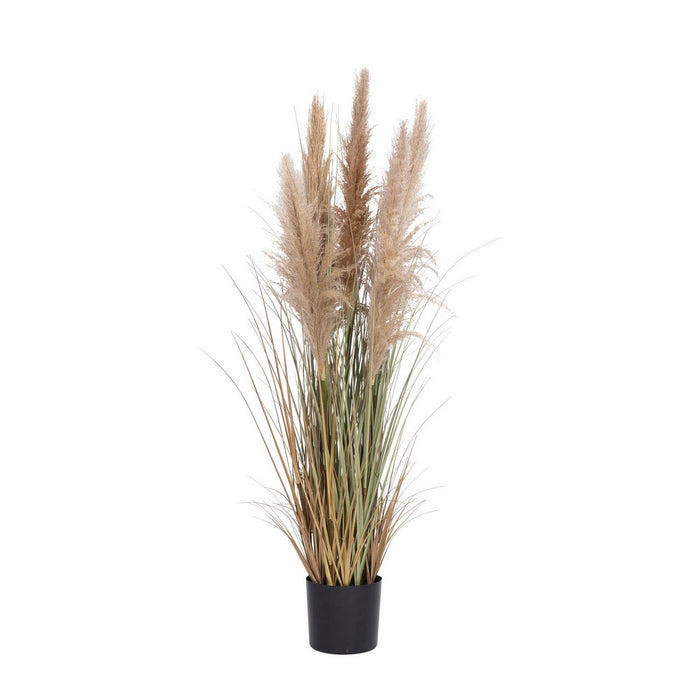 60" Tall Faux Pampas Grass - Beige | Vintage Home