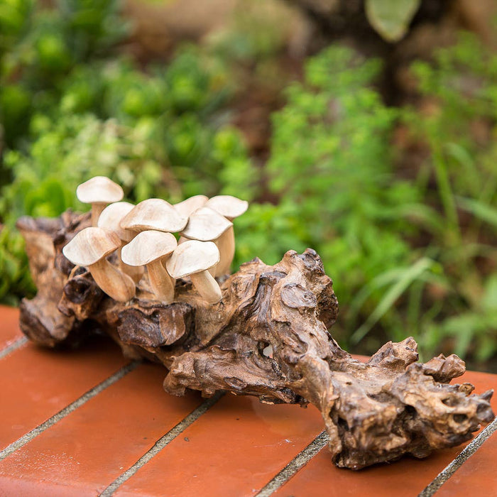 Parasite Wood Hand Carved Figurine - Mushroom on Teak